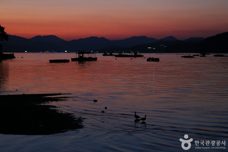 东海海岸路
