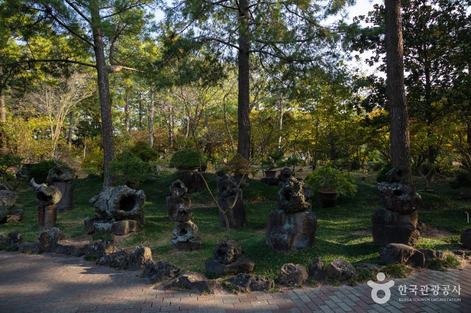 쌍용굴(한림공원)