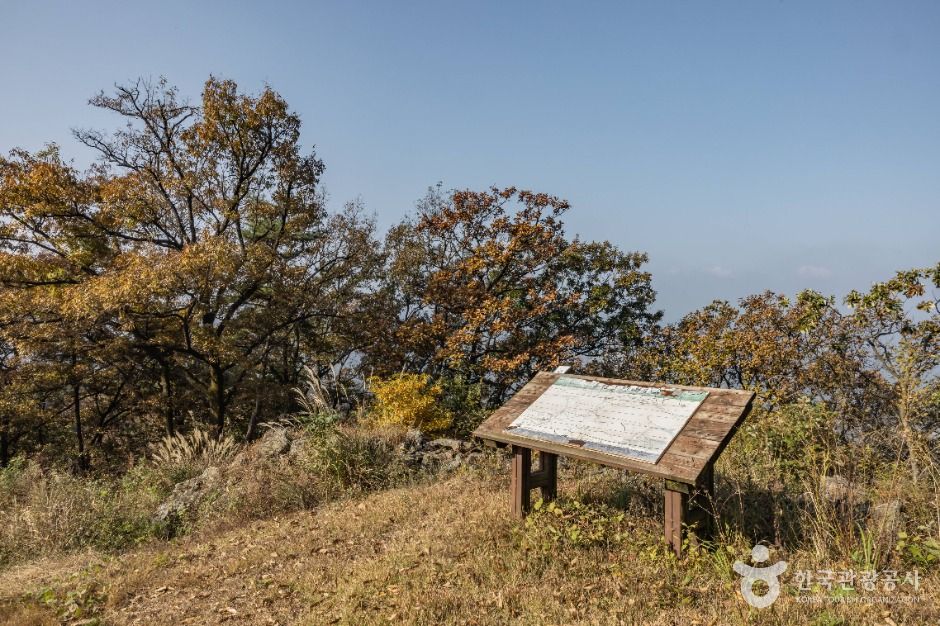 세종_금이성 (6)