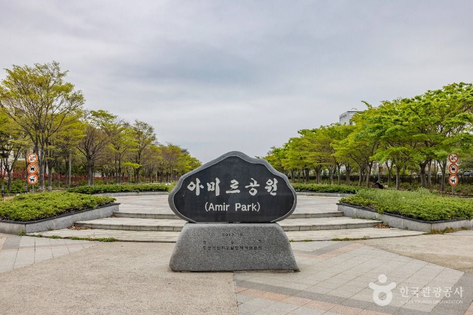 Amir Park