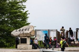 [강릉 바우길 2구간] 대관령 옛길