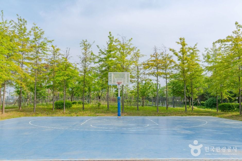 大部堤防公園