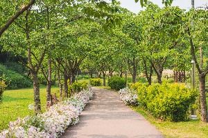 서울_용산가족공원 (2) 미리보기