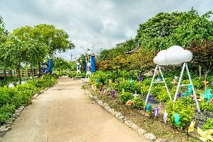 공주_유구색동수국정원 (2) 미리보기