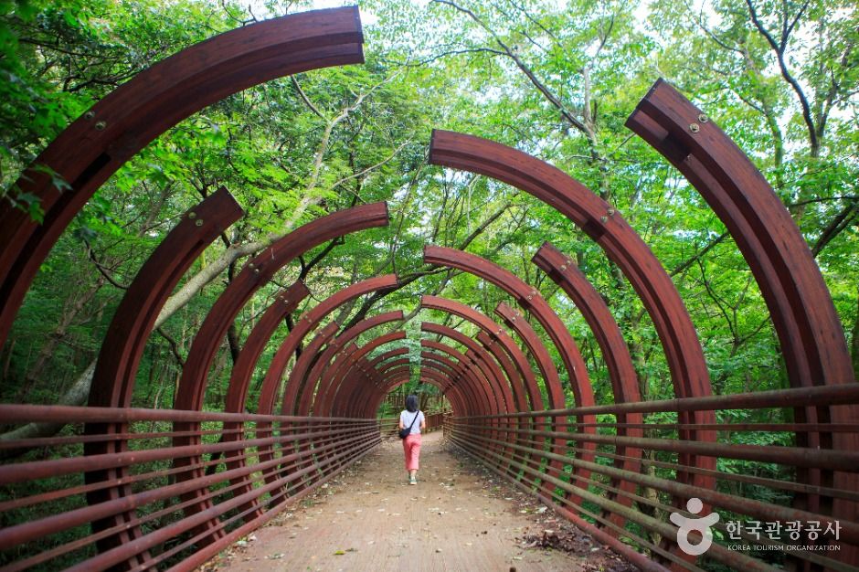 남도의 가을 향기에 취하는 장성 힐링 여행_축령산 편백숲_2-4