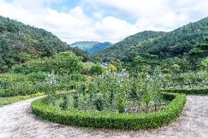 보령 무궁화수목원