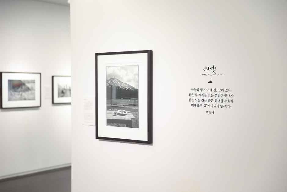 서울_라 카페 갤러리 (3).jpg