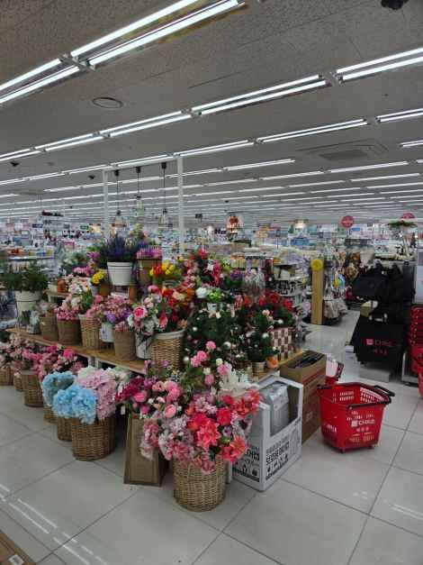 다이소 경산하양점