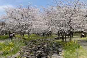 서귀포 예래생태마을