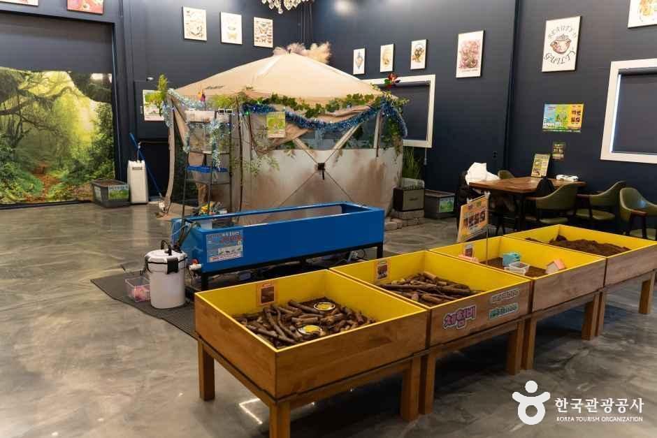 참좋은굼벵이 곤충농장