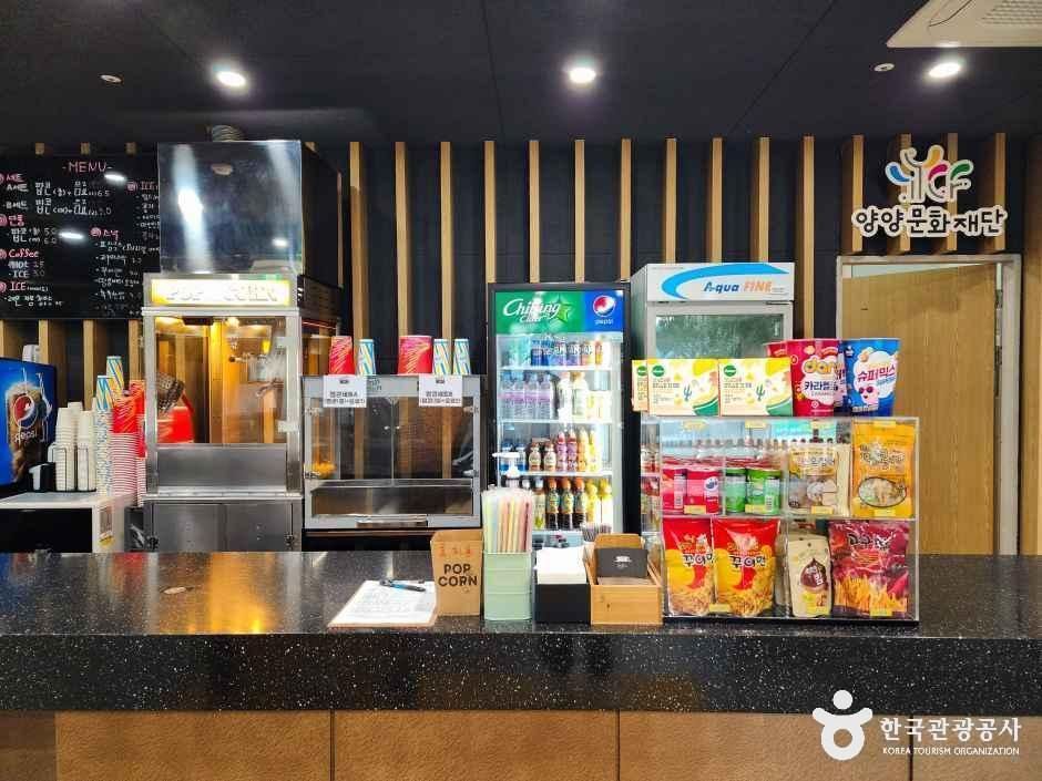 양양 작은영화관