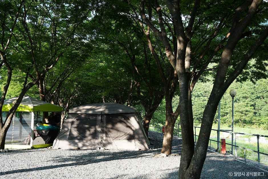 밀양_알프스캠핑장 (3).jpg