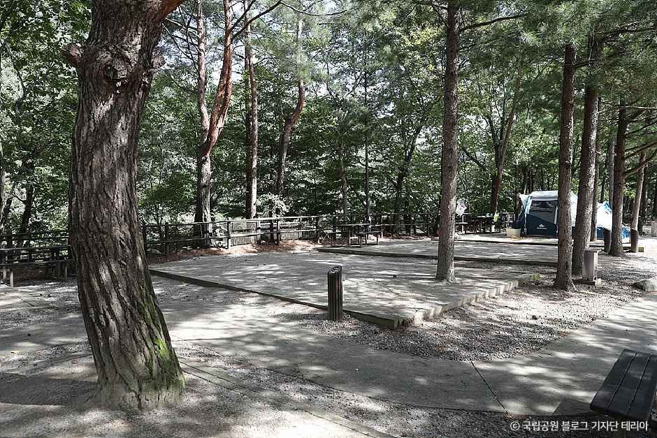 月岳山国立公园龙下露营场