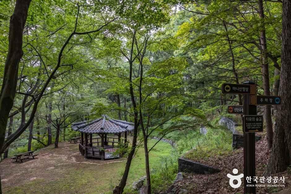 인천_마니산 치유의 숲 (8).jpg