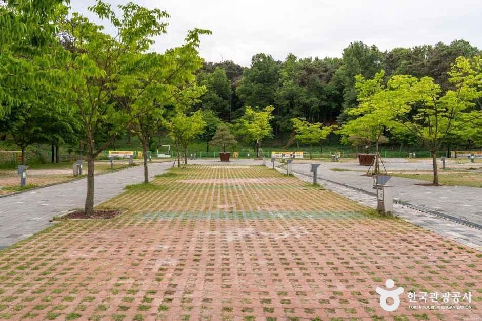 내리캠핑장
