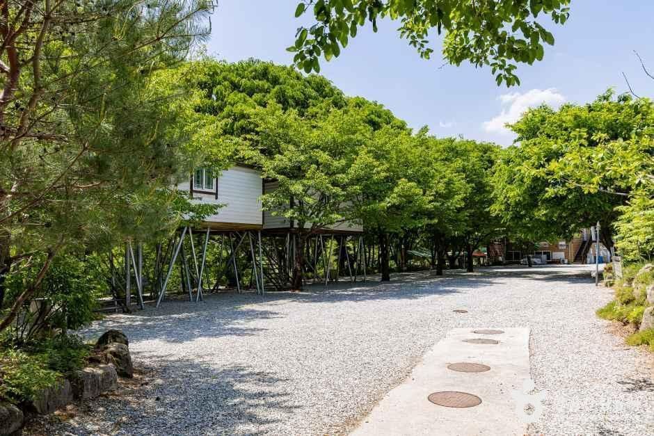 엉클캠프 - 충청북도 제천시 봉양읍 제원로8길 16 관광 명소
