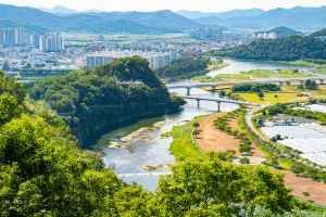 용두산 생태공원