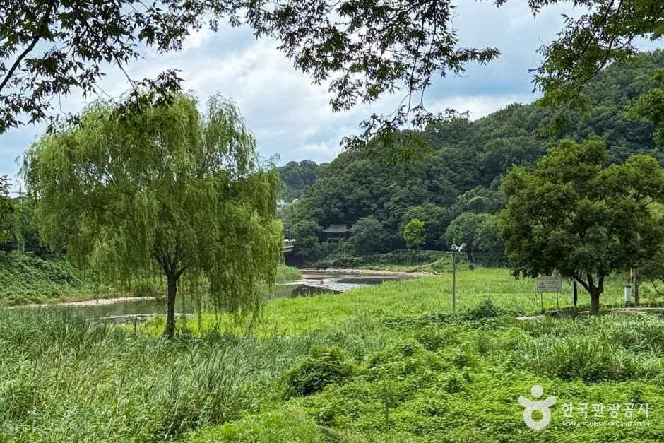 바람쐬는길