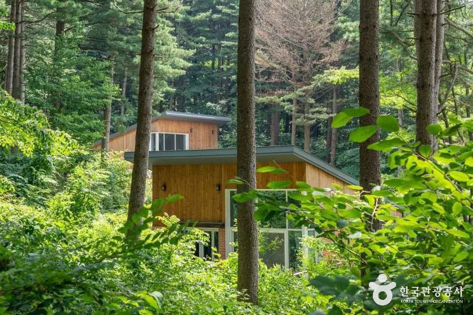 국립 청태산자연휴양림