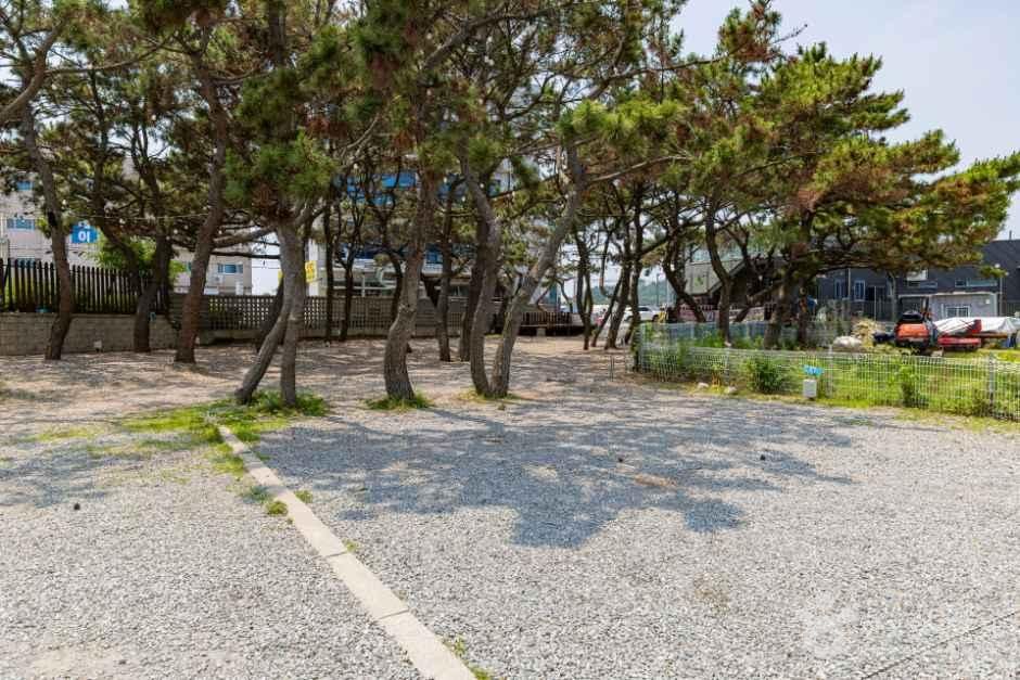 을왕리 솔트 캠핑장