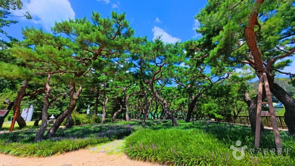 의림지 솔밭공원