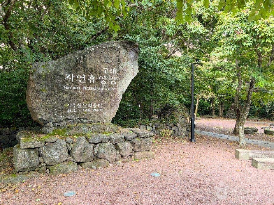 제주 교래자연휴양림