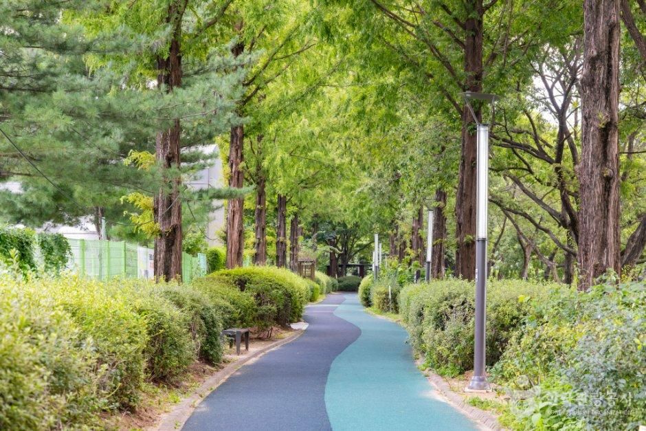 신정호 산책로
