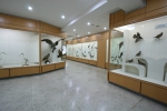 경희대학교 자연사박물관11