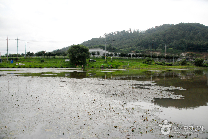 新峰钓鱼场