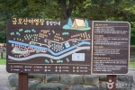 금오산야영장 (12)