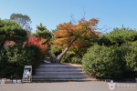 울산테마식물수목원 (16) 미리보기