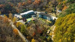 평창자연휴양림