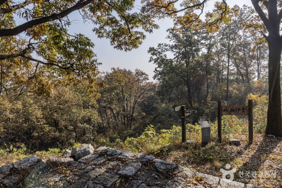 세종_금이성 (7)