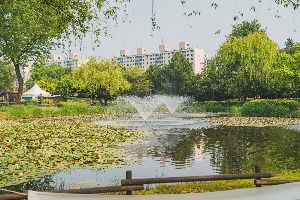 서울_용산가족공원 (3) 미리보기
