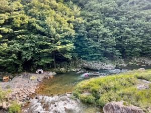 진안_운일암 반일암 계곡 (5)