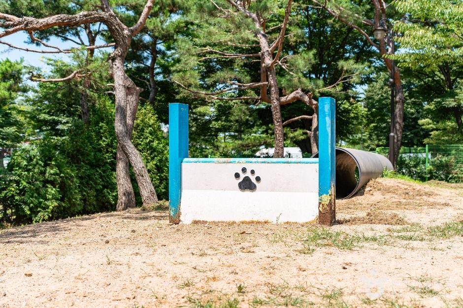 일산호수공원 반려견놀이터