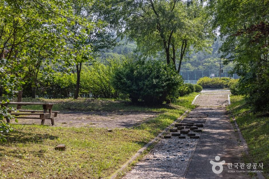 ドリームパーク住民体育公園