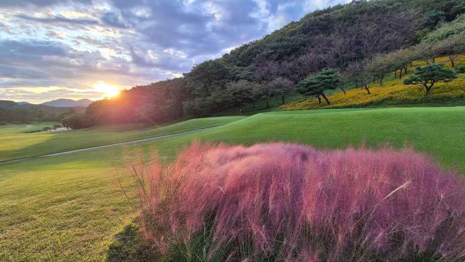 용인_글렌로스 골프클럽 (4).jpeg