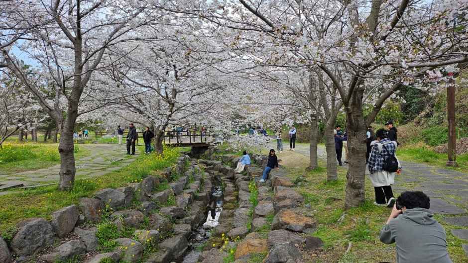 서귀포 예래생태마을