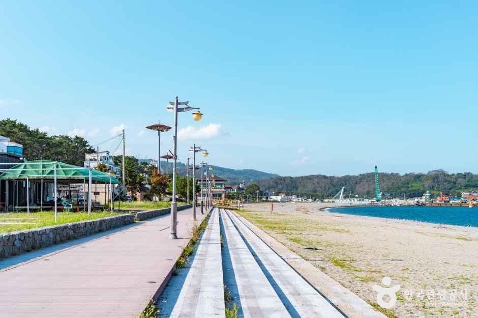전촌솔밭해변