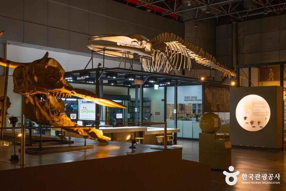 대전_유성_국립중앙과학관_내부_3.jpg