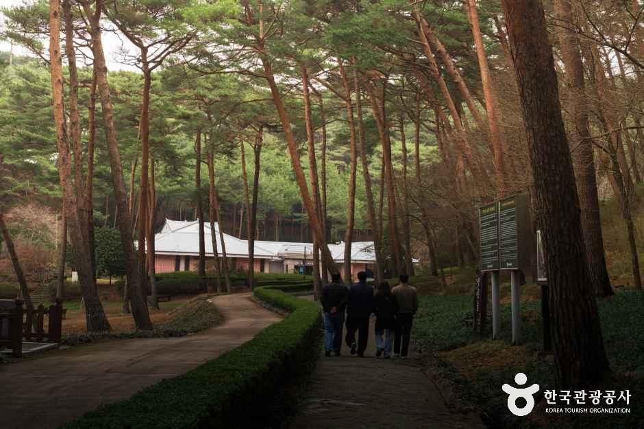 4057451 image2 1 예스키즈존 탐험대 : 실패 없는 육아여행