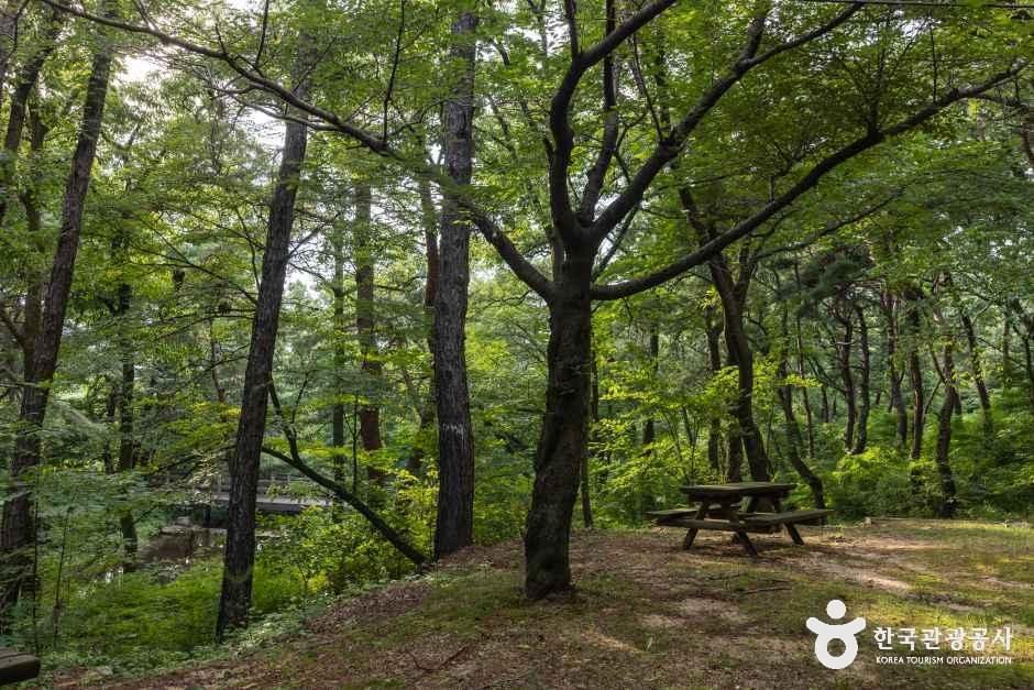 마니산 치유의 숲