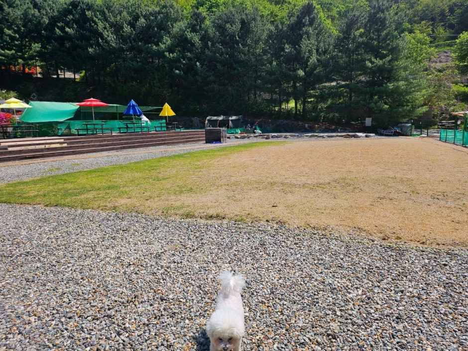 양주 감악산 캠핑장
