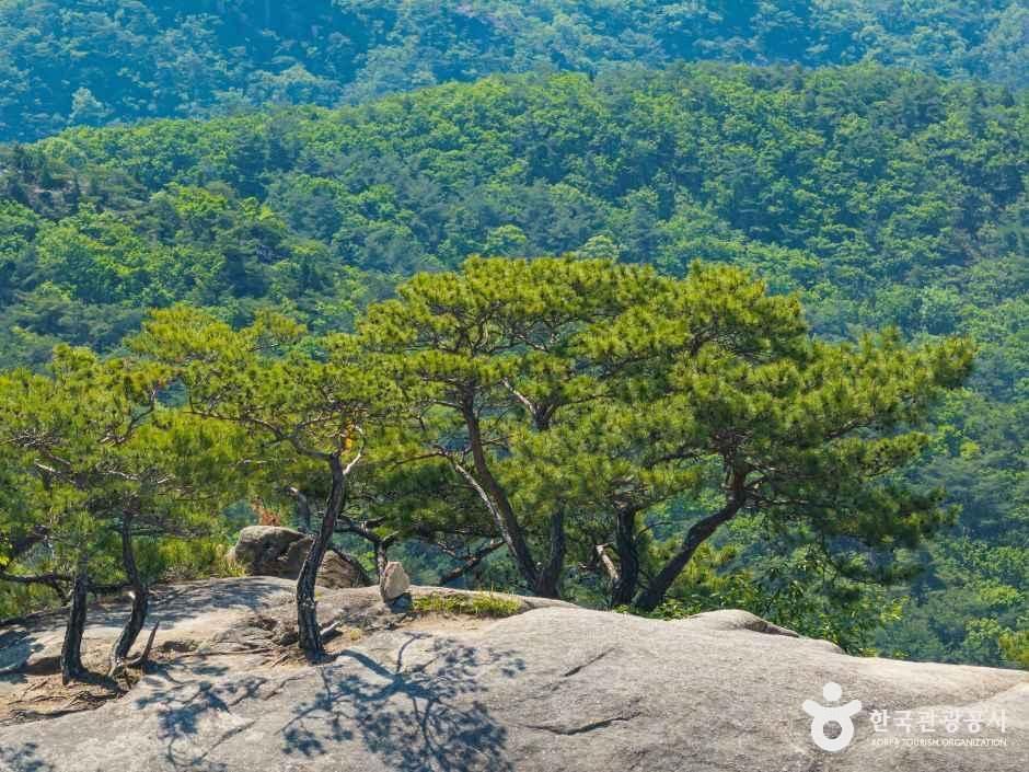 작은동산