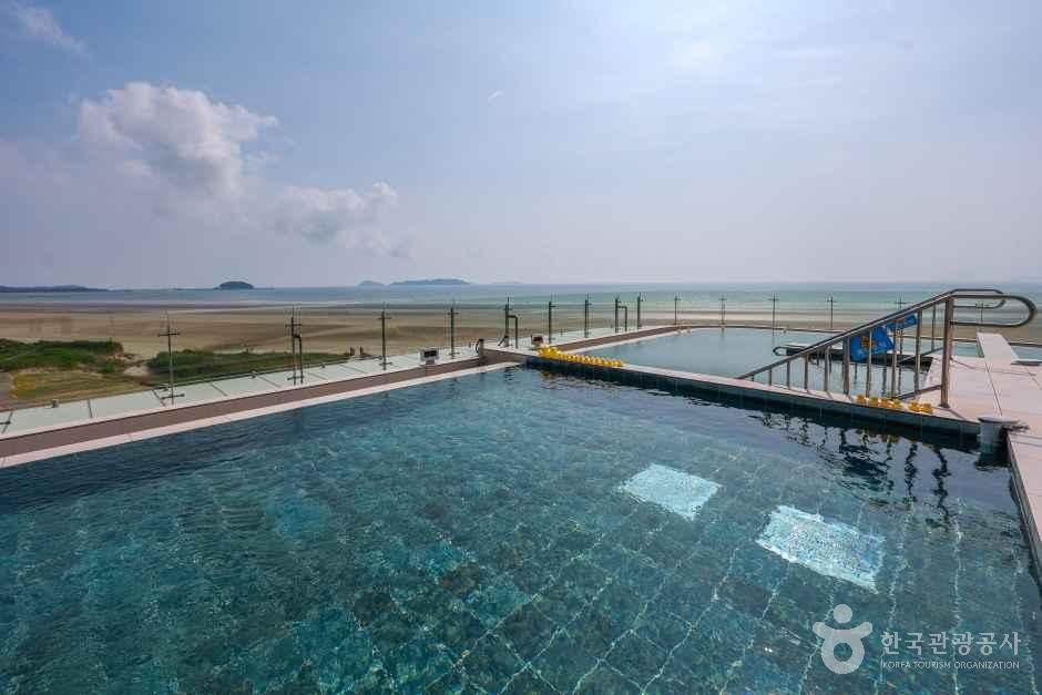 An Infinity Pool with a Stunning Ocean View