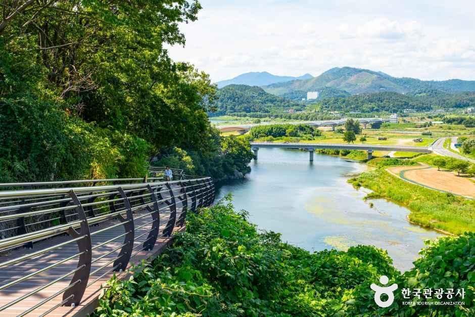 용두산 생태공원