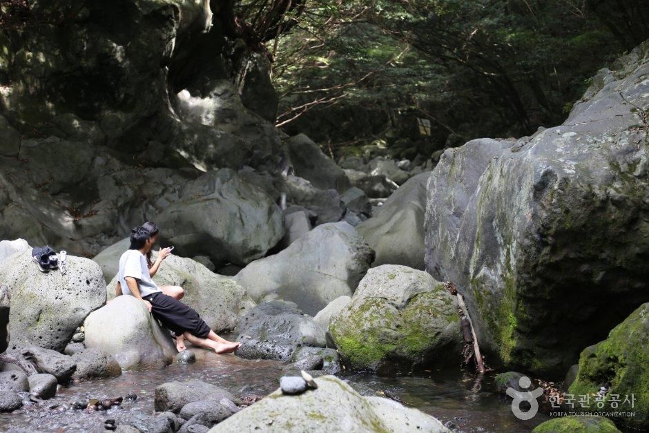 돈내코 원앙폭포 반려동물 여행 사진 6