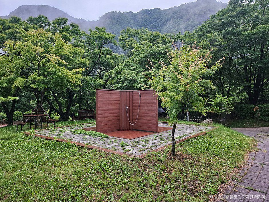 치악산국립공원 금대야영장