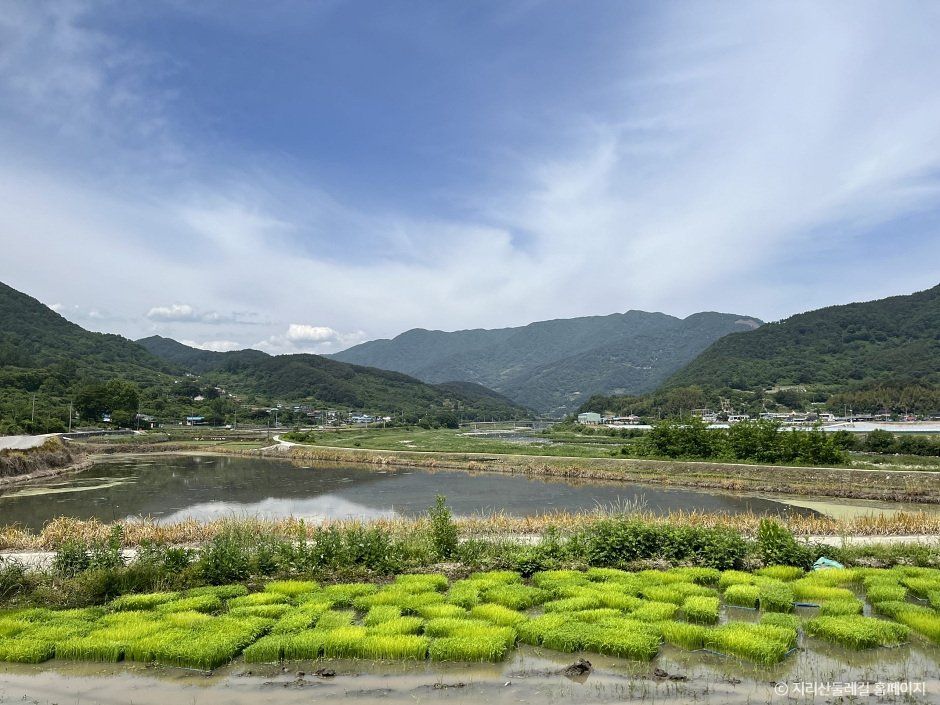 [지리산둘레길] 동강-수철